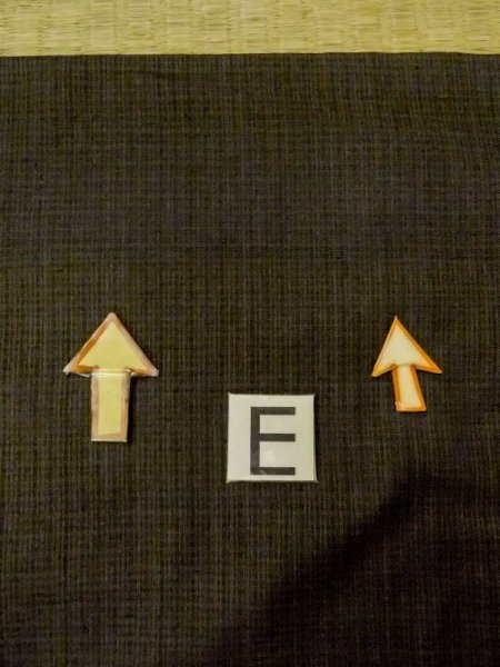 画像18: N0718D  男性用着物  シルク(正絹)   茶色, チェック柄 【中古】 【USED】 【リサイクル】 ★☆☆☆☆ (18)