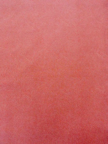 画像4: N0814K  女性用 江戸小紋 鮫小紋 シルク(正絹)   珊瑚色,  【中古】 【USED】 【リサイクル】 ★★★☆☆ (4)