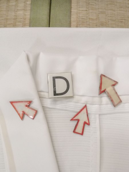 画像17: N0814X  女性用 襦袢  シルク（正絹）   白, 縞 【中古】 【USED】 【リサイクル】 ★★★☆☆ (17)