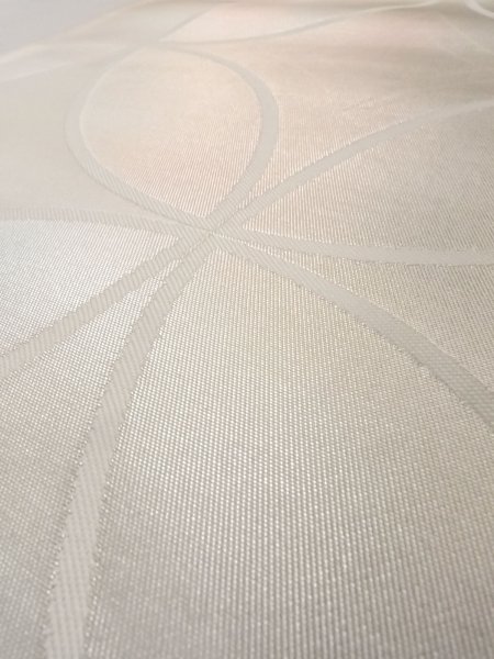 画像10: N0913U 袋帯 女性用着物 シルク(正絹)  光沢のある 銀色 七宝 【中古】 【USED】 【リサイクル】 ★★★☆☆ (10)