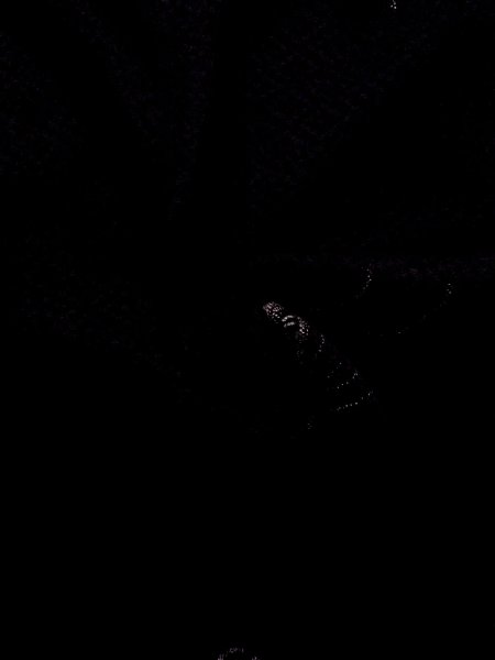 画像9: N0920D  女性用 羽織  シルク（正絹）   黒, 扇 【中古】 【USED】 【リサイクル】 ★★★★☆ (9)