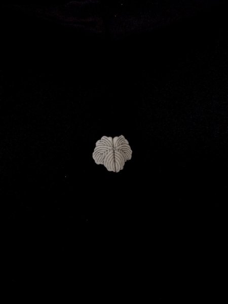 画像3: N0920F  女性用 羽織  シルク（正絹）   黒, 葉 【中古】 【USED】 【リサイクル】 ★★★★☆ (3)