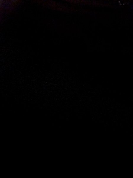 画像9: N0920F  女性用 羽織  シルク（正絹）   黒, 葉 【中古】 【USED】 【リサイクル】 ★★★★☆ (9)