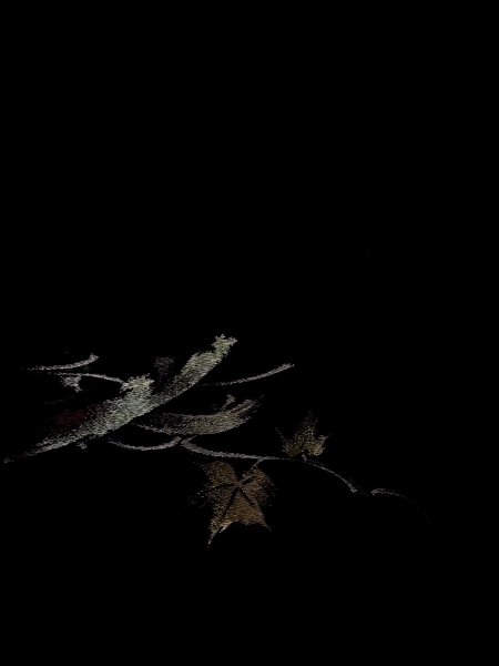 画像4: N0920J  女性用 羽織  シルク（正絹）   黒, もみじ 【中古】 【USED】 【リサイクル】 ★★★☆☆ (4)