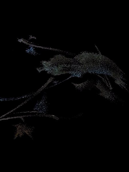 画像6: N0920J  女性用 羽織  シルク（正絹）   黒, もみじ 【中古】 【USED】 【リサイクル】 ★★★☆☆ (6)