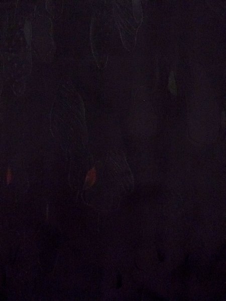 画像5: N0921C  女性用 羽織  シルク(正絹)   黒, 葉 【中古】 【USED】 【リサイクル】 ★★★☆☆ (5)