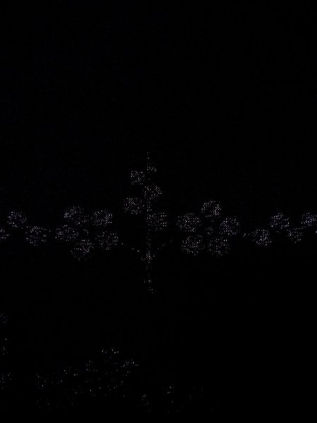 画像7: N0930D 女性用羽織  シルク(正絹) 黒, 梅 【中古】【USED】【リサイクル】 ★★★☆☆【N0930D】 (7)