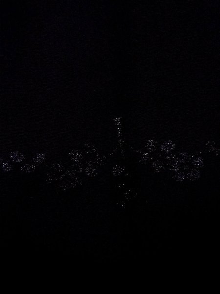 画像8: N0930D 女性用羽織  シルク(正絹) 黒, 梅 【中古】【USED】【リサイクル】 ★★★☆☆【N0930D】 (8)