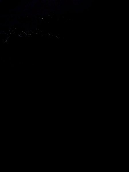 画像11: N0930D 女性用羽織  シルク(正絹) 黒, 梅 【中古】【USED】【リサイクル】 ★★★☆☆【N0930D】 (11)