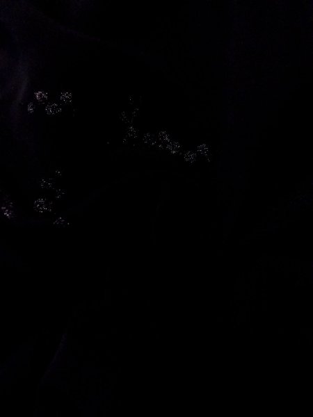 画像12: N0930D 女性用羽織  シルク(正絹) 黒, 梅 【中古】【USED】【リサイクル】 ★★★☆☆【N0930D】 (12)