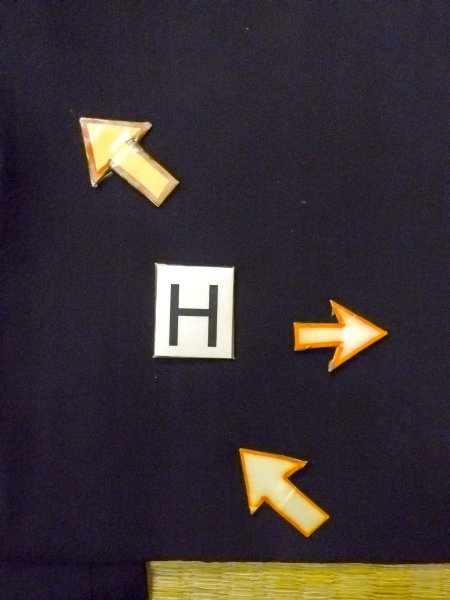 画像22: N1101C 昭和初期ごろ。アンティーク品。女性用羽織  シルク(正絹) 黒, ぼたん 【中古】【USED】【リサイクル】 ★☆☆☆☆【N1101C】 (22)