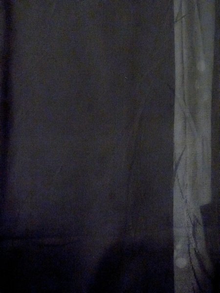 画像4: N1101G 女性用羽織  シルク(正絹) 黒, 葉 【中古】【USED】【リサイクル】 ★★★☆☆【N1101G】 (4)