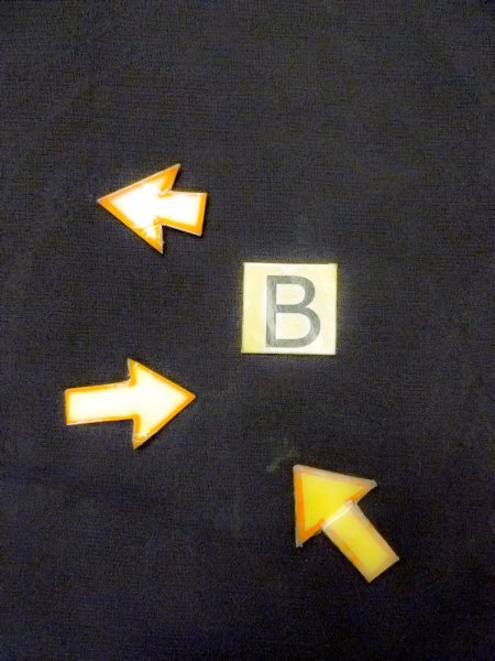 画像16: N1101G 女性用羽織  シルク(正絹) 黒, 葉 【中古】【USED】【リサイクル】 ★★★☆☆【N1101G】 (16)