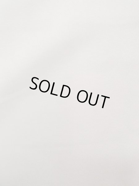 画像9: N1126V 女性用訪問着  シルク(正絹) 淡い灰色, 椿 【中古】【USED】【リサイクル】 ★★★☆☆【N1126V】 (9)