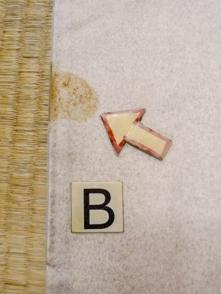 画像20: N1126X 女性用訪問着  シルク(正絹) 淡い紫色, 鳥 【中古】【USED】【リサイクル】 ★★★☆☆【N1126X】 (20)