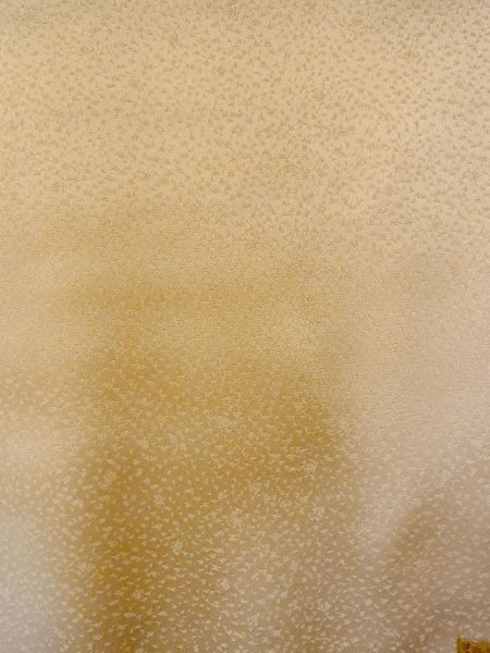 画像9: N1127C 女性用訪問着  シルク(正絹) 光沢のある淡い茶色, 菊 【中古】【USED】【リサイクル】 ★★★☆☆【N1127C】 (9)