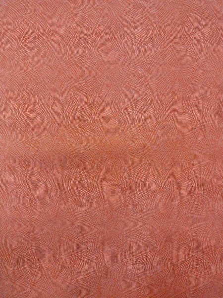 画像4: N1211E 女性用小紋 江戸小紋 シルク(正絹) 朱赤, 青海波 【中古】【USED】【リサイクル】 ★★☆☆☆【N1211E】 (4)