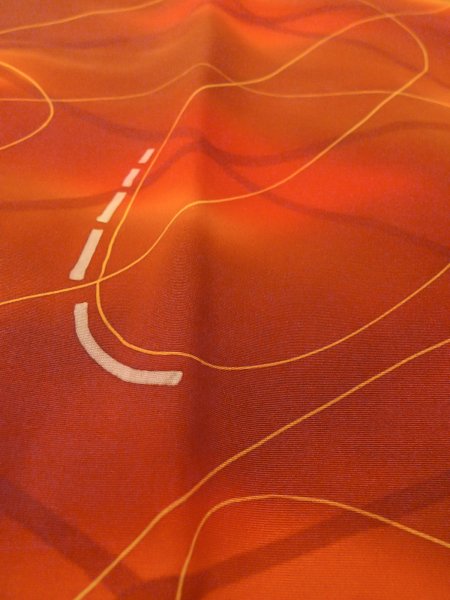 画像9: O0131V 女性用道行  シルク（正絹） 茶色, 線 【中古】【USED】【リサイクル】 ★★★★☆【O0131V】 (9)