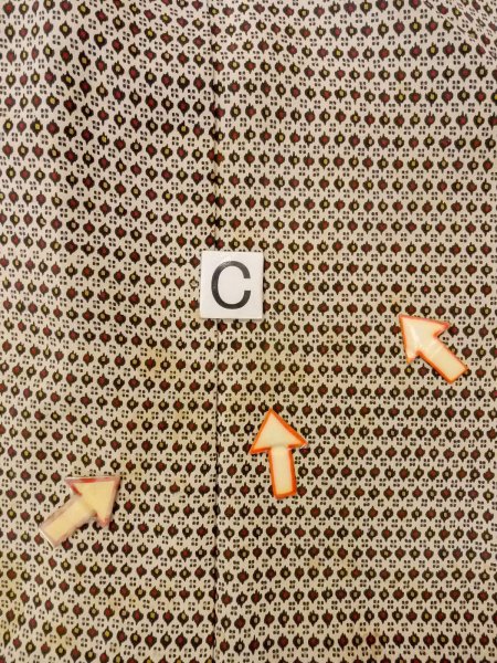 画像16: O0219C 女性用小紋  シルク（正絹） オフ　ホワイト, 小さな点々 【中古】【USED】【リサイクル】 ★☆☆☆☆【O0219C】 (16)