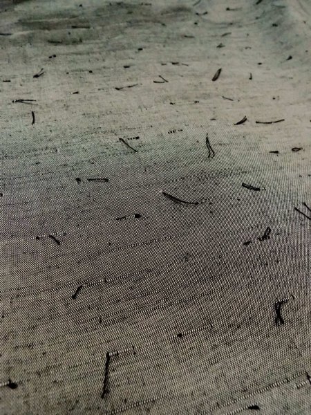 画像20: O0312X 男性用羽織 結城紬 シルク（正絹） 薄い灰色,  【中古】【USED】【リサイクル】 ★★★★☆【O0312X】 (20)