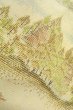 画像9: O0328O 女性用紬 十日町紬 シルク（正絹） 薄いオフ　ホワイト, 木 【中古】【USED】【リサイクル】 ★★☆☆☆【O0328O】 (9)