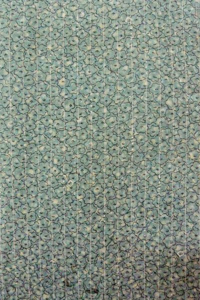 画像5: O0419G 女性用小紋  シルク（正絹） 淡い緑み水色, 花 【中古】【USED】【リサイクル】 ★★☆☆☆【O0419G】 (5)