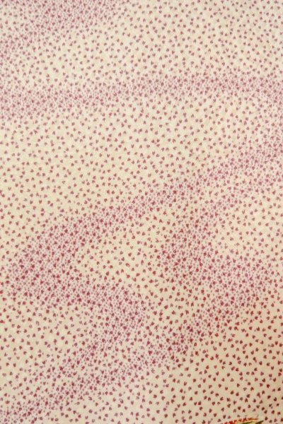 画像7: O0419K 女性用小紋  シルク（正絹） アイボリー, 桜 【中古】【USED】【リサイクル】 ★★☆☆☆【O0419K】 (7)