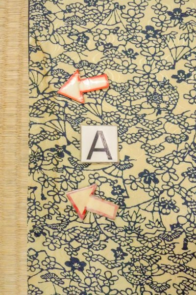 画像14: O0419P 女性用小紋  シルク（正絹） アイボリー, 花 【中古】【USED】【リサイクル】 ★★☆☆☆【O0419P】 (14)