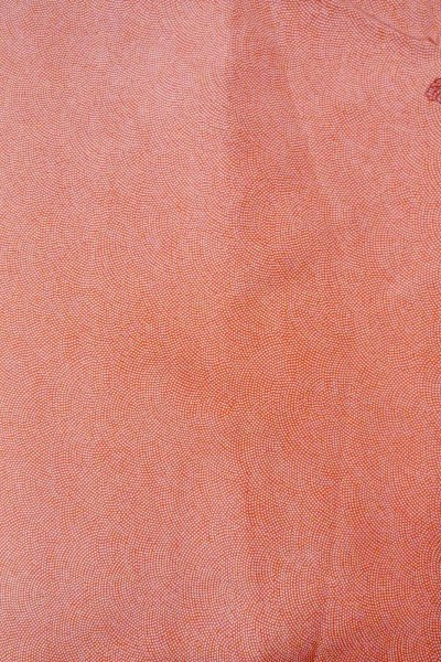 画像4: O0420B 女性用小紋 江戸小紋 シルク（正絹） 朱赤, 小さな点々 【中古】【USED】【リサイクル】 ★★★☆☆【O0420B】 (4)