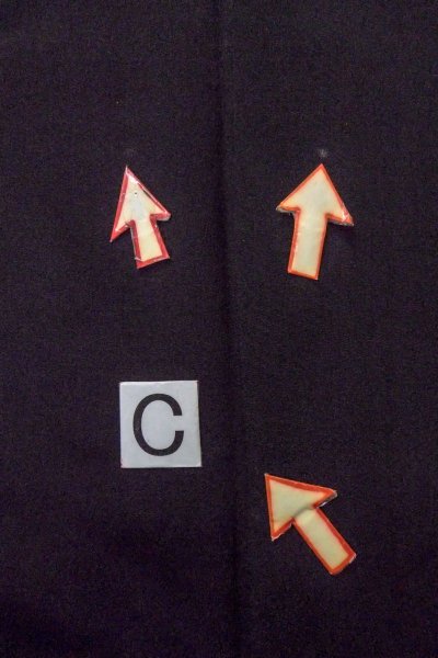 画像18: O0509X 女性用留袖  シルク（正絹） 黒, 梅 【中古】【USED】【リサイクル】 ★★☆☆☆【O0509X】 (18)