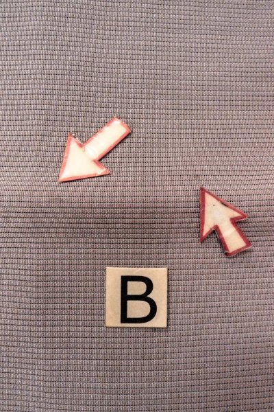 画像14: O0529B 八寸（袋名古屋）帯 女性用着物 麻  灰色がかった 紫色 鳥 【中古】 【USED】 【リサイクル】 ★★☆☆☆ (14)