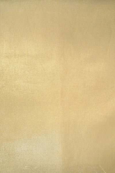 画像4: O0607C 袋帯 女性用着物 シルク（正絹）  光沢のある アイボリー  【中古】 【USED】 【リサイクル】 ★★★☆☆ (4)