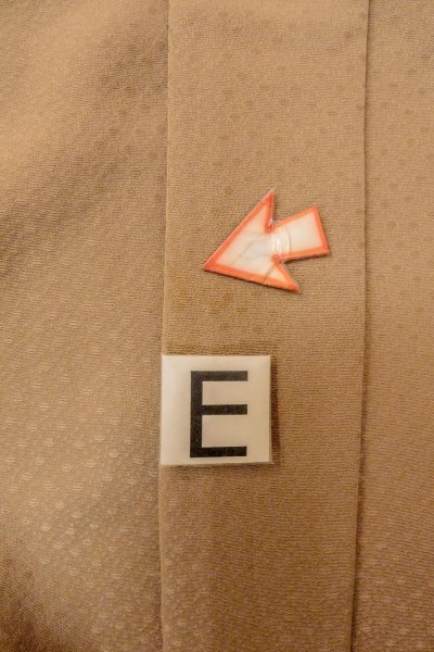 画像15: O0806B 女性用羽織  シルク（正絹） 薄いベージュ,  【中古】【USED】【リサイクル】 ★★★☆☆【O0806B】 (15)