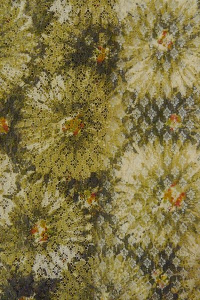 画像6: O0909P 女性用羽織  化繊 深いオリーブ, 花 【中古】【USED】【リサイクル】 ★★★☆☆【O0909P】 (6)