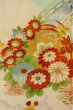 画像5: O1225M 女性用 女の子用着物   シルク（正絹） 白,  ぼたん 【中古】【USED】【リサイクル】 ★★★☆☆【O1225M】 (5)