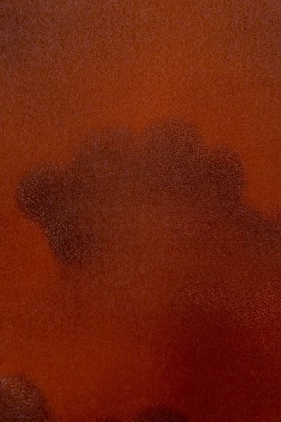 画像5: P0109S 女性用 羽織   シルク（正絹） 鮮やか朱赤,  雲 【中古】【USED】【リサイクル】 ★★★☆☆【P0109S】 (5)