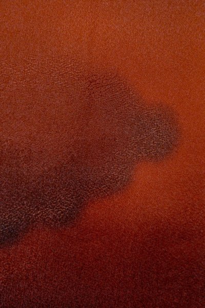 画像7: P0109S 女性用 羽織   シルク（正絹） 鮮やか朱赤,  雲 【中古】【USED】【リサイクル】 ★★★☆☆【P0109S】 (7)