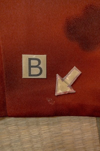 画像15: P0109S 女性用 羽織   シルク（正絹） 鮮やか朱赤,  雲 【中古】【USED】【リサイクル】 ★★★☆☆【P0109S】 (15)