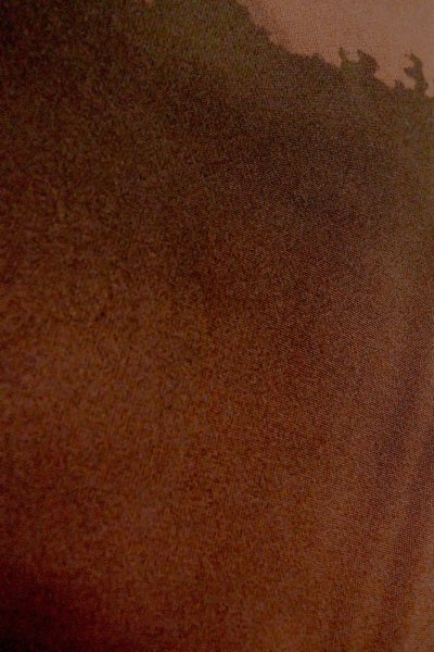 画像9: P0109X 女性用 羽織   シルク（正絹） 深い茶色みえんじ,  山 【中古】【USED】【リサイクル】 ★★★☆☆【P0109X】 (9)