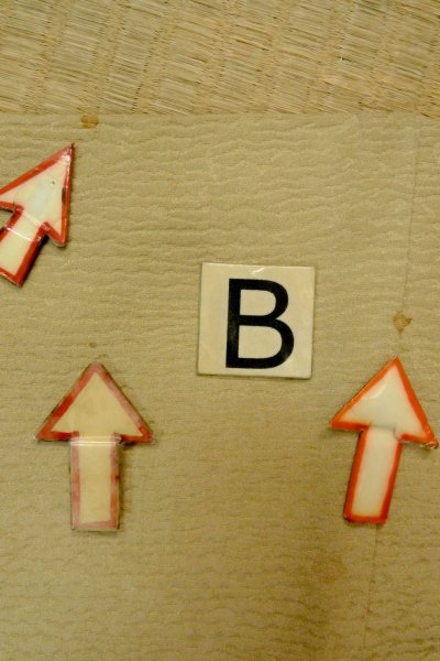 画像15: P0124D 女性用 羽織   シルク（正絹） 淡いベージュ,  葉 【中古】【USED】【リサイクル】 ★★☆☆☆【P0124D】 (15)