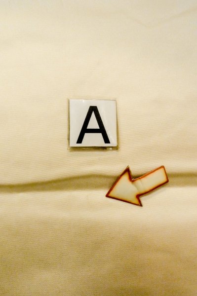 画像13: P0206L 袋帯 女性用着物 シルク（正絹）   白 桜 薄い【中古】 【USED】 【リサイクル】 ★★★★☆ (13)