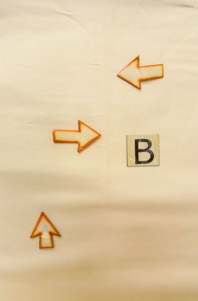 画像12: P0206N 袋帯 女性用着物 シルク（正絹）  光沢のある 金色 ぼたん 【中古】 【USED】 【リサイクル】 ★★★☆☆ (12)