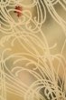 画像6: P0225C 女性用 小紋   シルク（正絹） 淡い灰色がかったマルチカラー,  菊 【中古】【USED】【リサイクル】 ★★☆☆☆【P0225C】 (6)