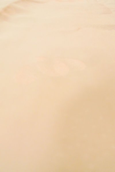 画像8: P0422D 女性用 襦袢   シルク（正絹） 淡い桃色,  梅 【中古】【USED】【リサイクル】 ★★☆☆☆【P0422D】 (8)