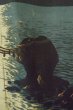 画像15: P0526E 男性用 羽織   シルク（正絹） 黒,  山 【中古】【USED】【リサイクル】 ★★★☆☆【P0526E】 (15)