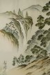 画像14: P0526J 男性用 羽織  大島紬  シルク（正絹） 茶色,  松/松葉 【中古】【USED】【リサイクル】 ★★★☆☆【P0526J】 (14)