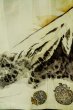 画像6: P0526O 男性用 羽織  大島紬  シルク（正絹） 深い青,  富士 【中古】【USED】【リサイクル】 ★★★☆☆【P0526O】 (6)