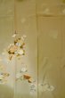 画像3: P0731V 女性用 留袖   シルク（正絹） 淡い茶色,  ぼたん 【中古】【USED】【リサイクル】 ★★★☆☆【P0731V】 (3)
