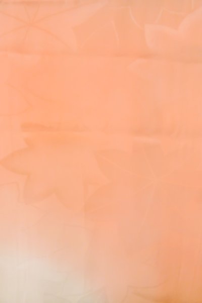 画像3: P0901K 女性用 襦袢   シルク（正絹） 淡い珊瑚色,  【中古】【USED】【リサイクル】 ★★☆☆☆【P0901K】 (3)